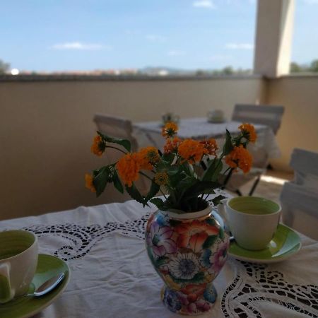 Bed and Breakfast La Casa Dei Fenicotteri Olbia Exteriér fotografie